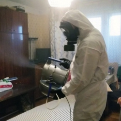 Дезинфекция от клопов в Одинцово
