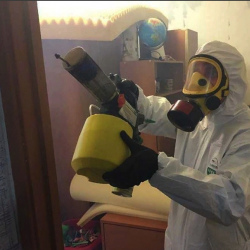 Уничтожение клопов в квартире. Одинцово